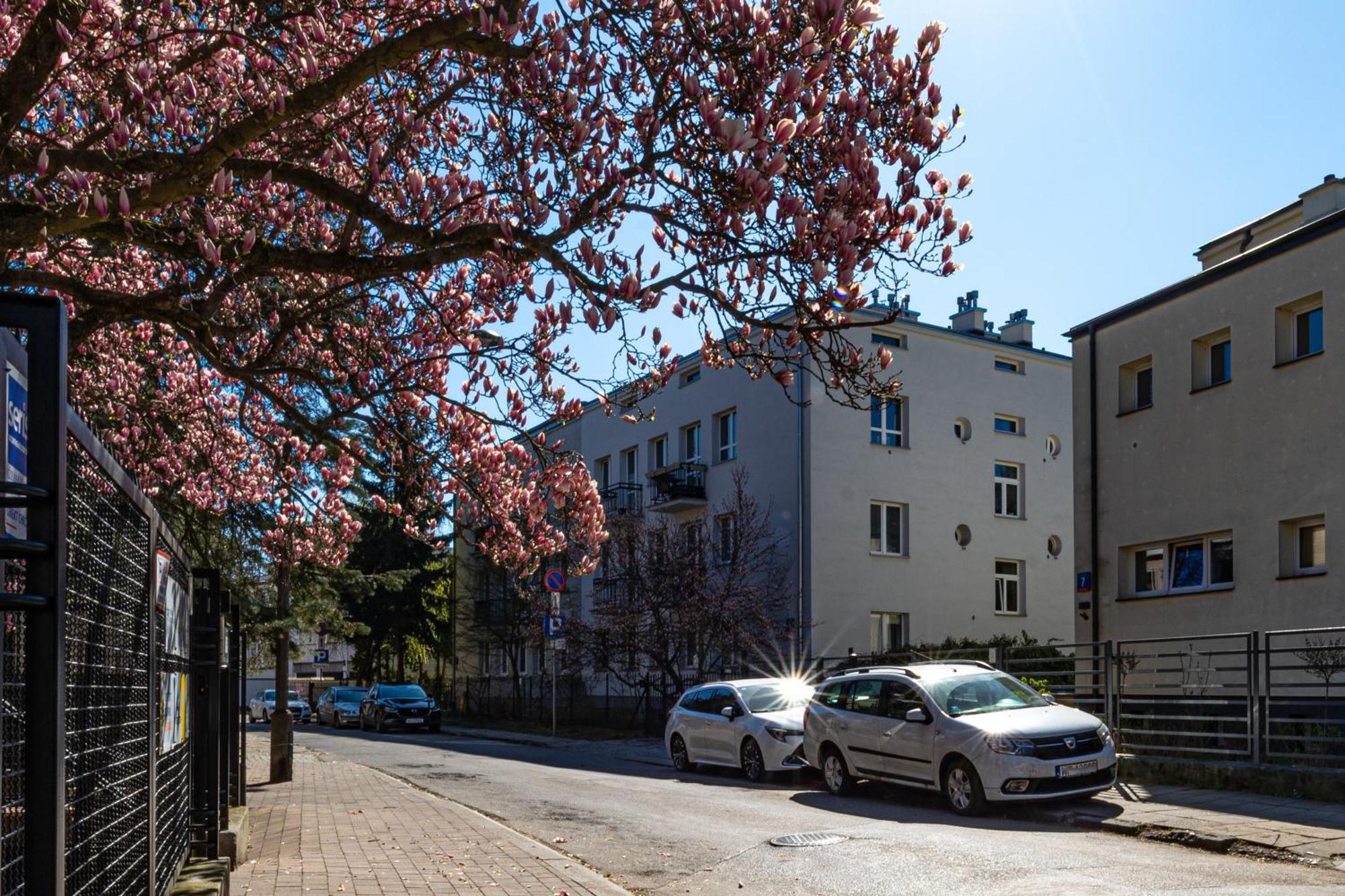 Superapart Genewska 3